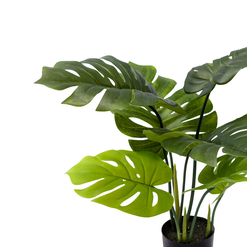 Planta decorativa Monsteraghiveci verde PP H70 cm