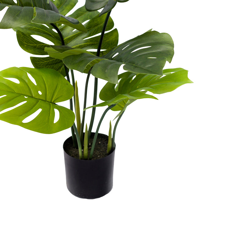 Planta decorativa Monsteraghiveci verde PP H70 cm