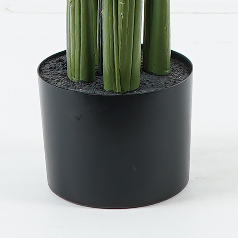 Planta decorativă în ghiveci Aglaonema, verde, plastic, 80x150 cm