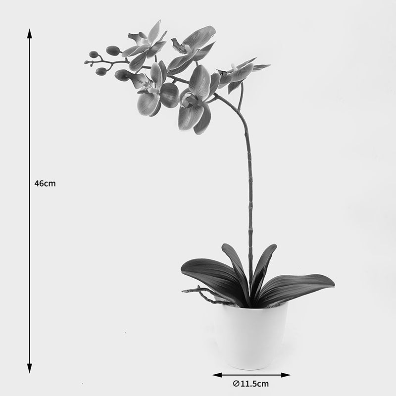 Plantă decorativă în ghiveci, Orhidee Orchid Beauty, Sintetic, 30x13x46 cm