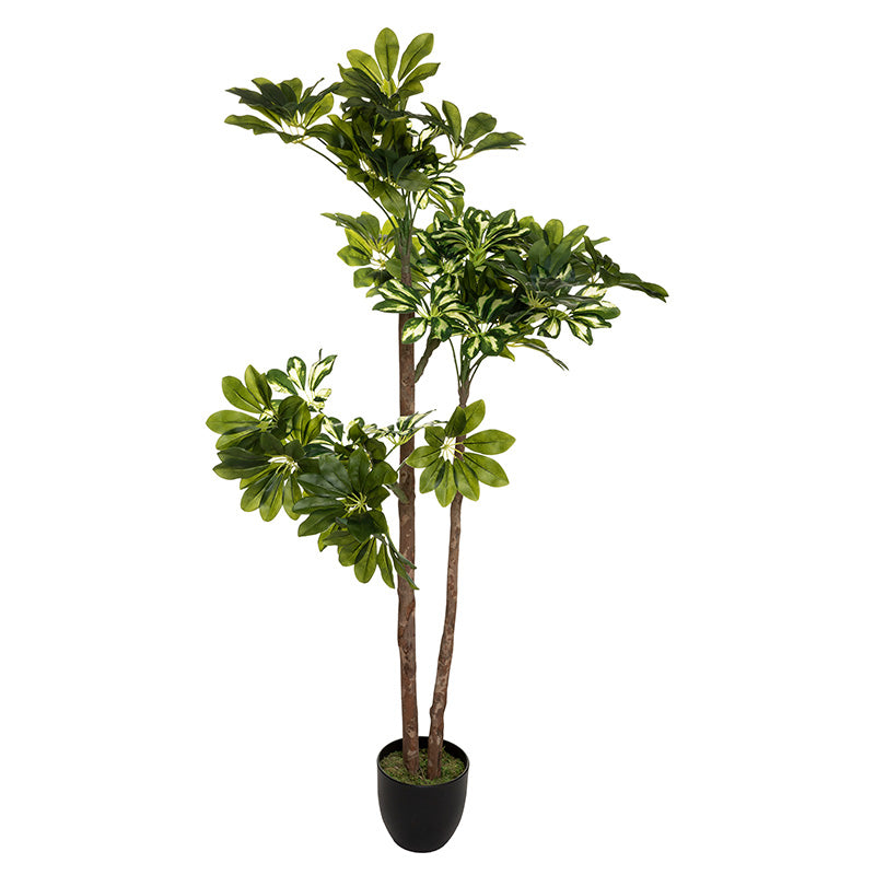 Planta artificiala ghiveci Verde 6, Negru/Verde, 70x65x135 cm
