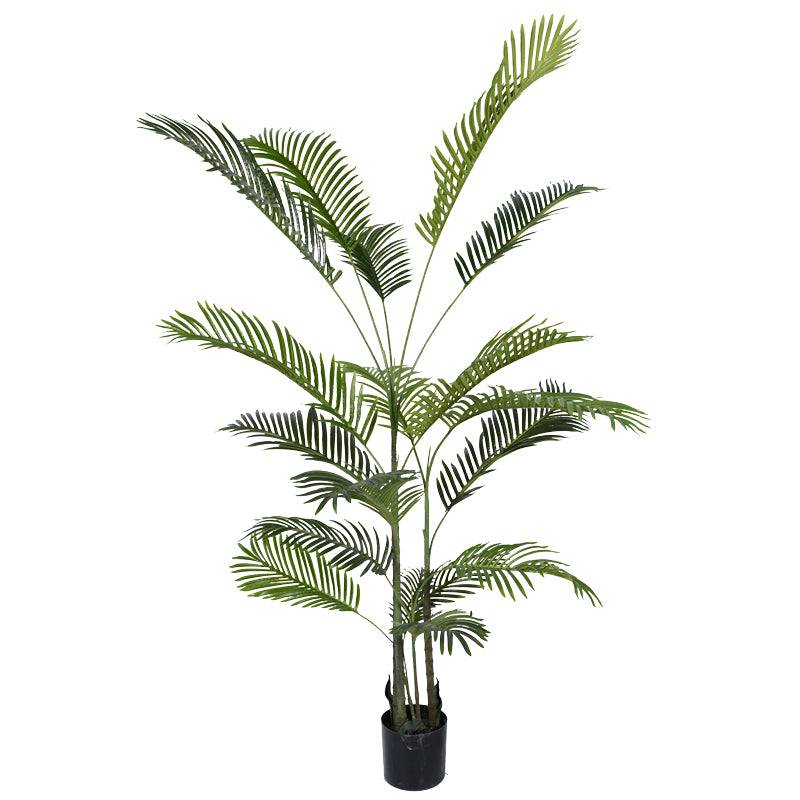 Planta decorativa Areca IIIghiveci, verde, H180cm