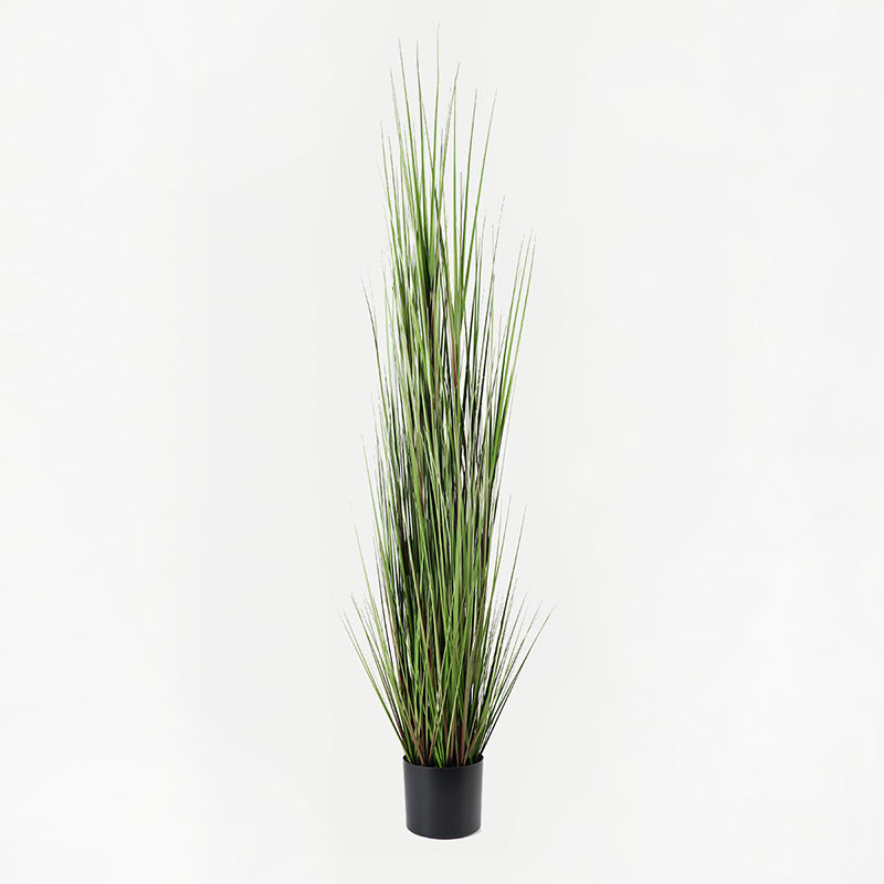 Plantă decorativă cu funcție de ornament Boxwood, Sintetic, Negru, 46x150 cm