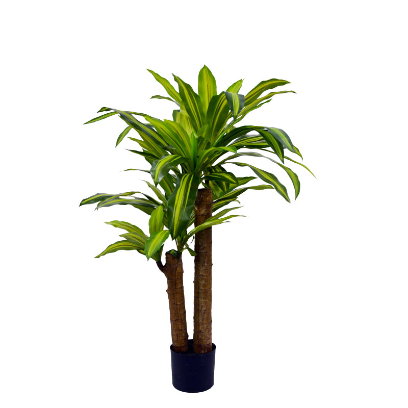 Planta decorativa Dracaenaghiveci verde H110cm