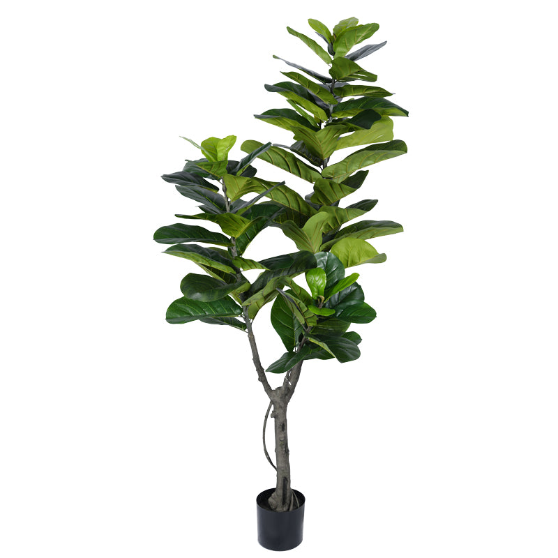Planta decorativa Fiddlehead Ighiveci, verde, H180cm