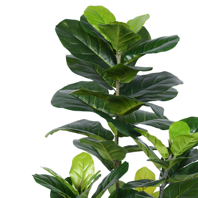 Planta decorativa Fiddleheadghiveci, verde, H120cm