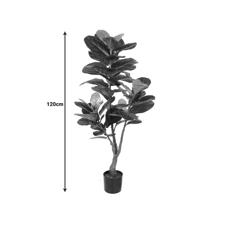 Planta decorativa Fiddleheadghiveci, verde, H120cm