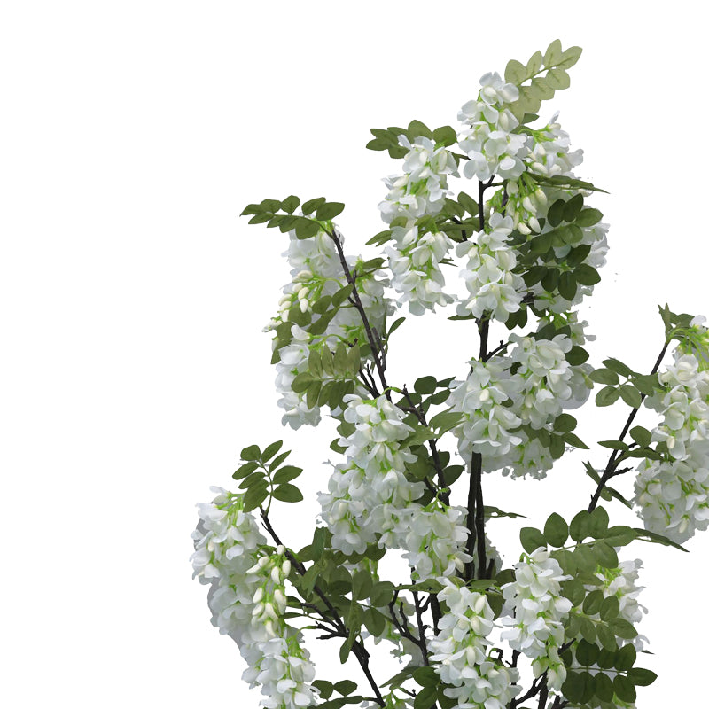 Planta decorativa Floarea de fasoleghiveci, alb, 125 cm, imagine suplimentara