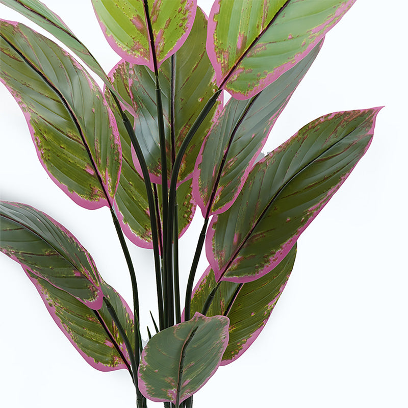 Plantă decorativă în ghiveci Calathea, Plastic, Verde, 68x120 cm