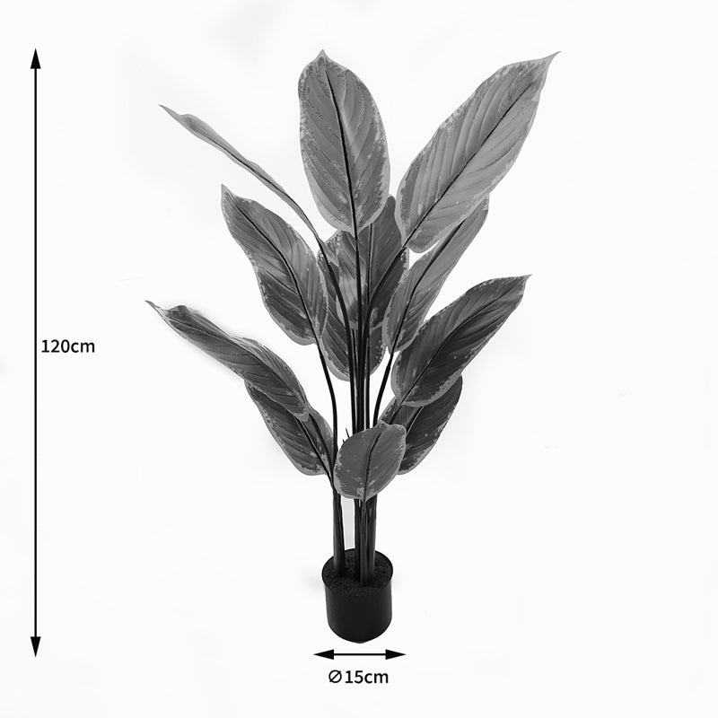 Plantă decorativă în ghiveci Calathea, Plastic, Verde, 68x120 cm
