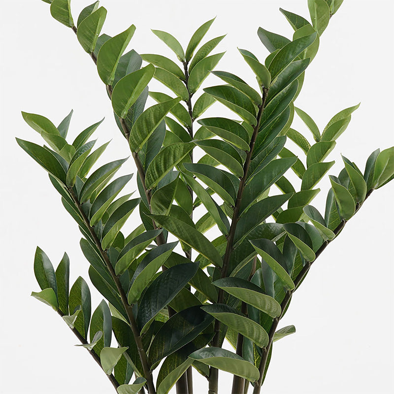 Plantă decorativă în ghiveci Zamia, sintetic, Verde, 52x88 cm