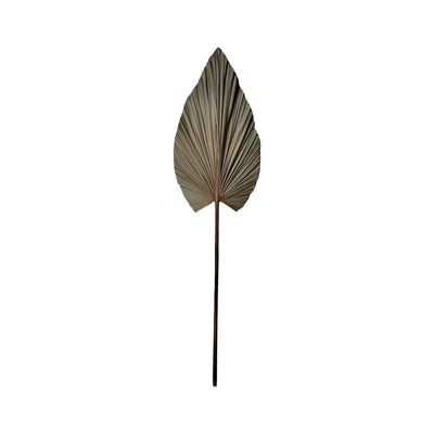 Accesoriu Decorativ Planta decorativa Leafen Boho Natural 35x60x130 cm