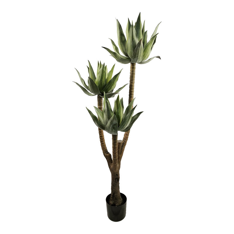 Planta decorativa Lotus cu ghiveci, Înaltime 150cm