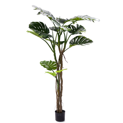 Planta decorativa Monstera III Negru inaltime 180 cm