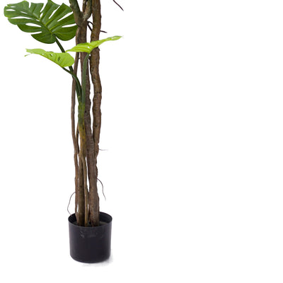 Planta decorativa Monstera III, Negru, inaltime 180 cm, detaliu produs