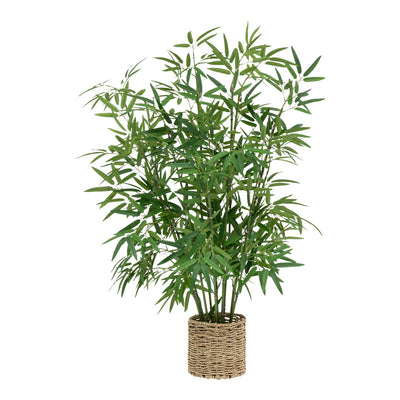 Planta ghiveci Belica D45x100 cm