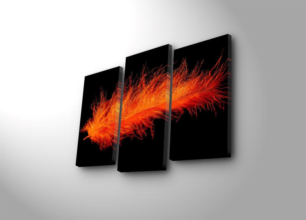 Tablou Canvas cu Led Pana Rosu, Multicolor, 66 x 45 cm