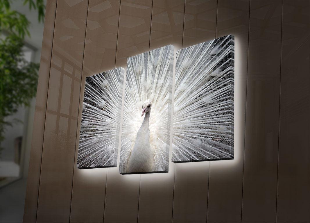 Tablou Canvas cu Led Paun, Multicolor, 66 x 45 cm