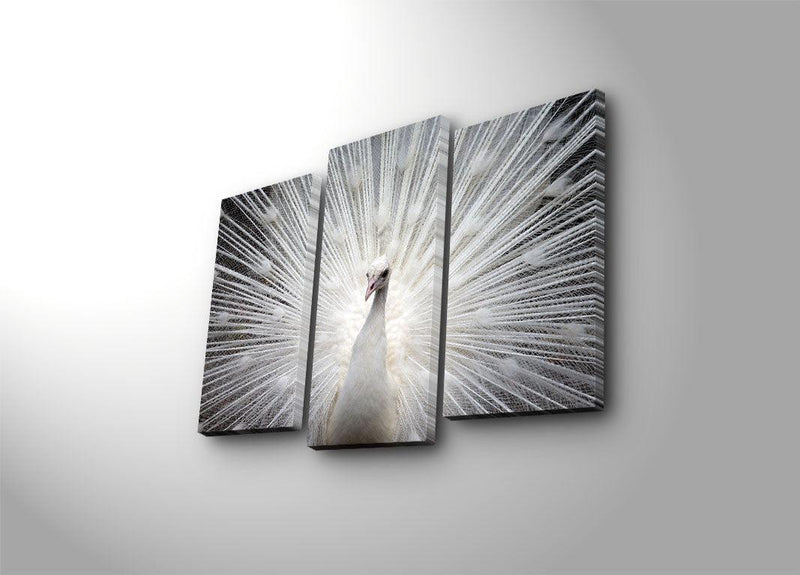 Tablou Canvas cu Led Paun, Multicolor, 66 x 45 cm