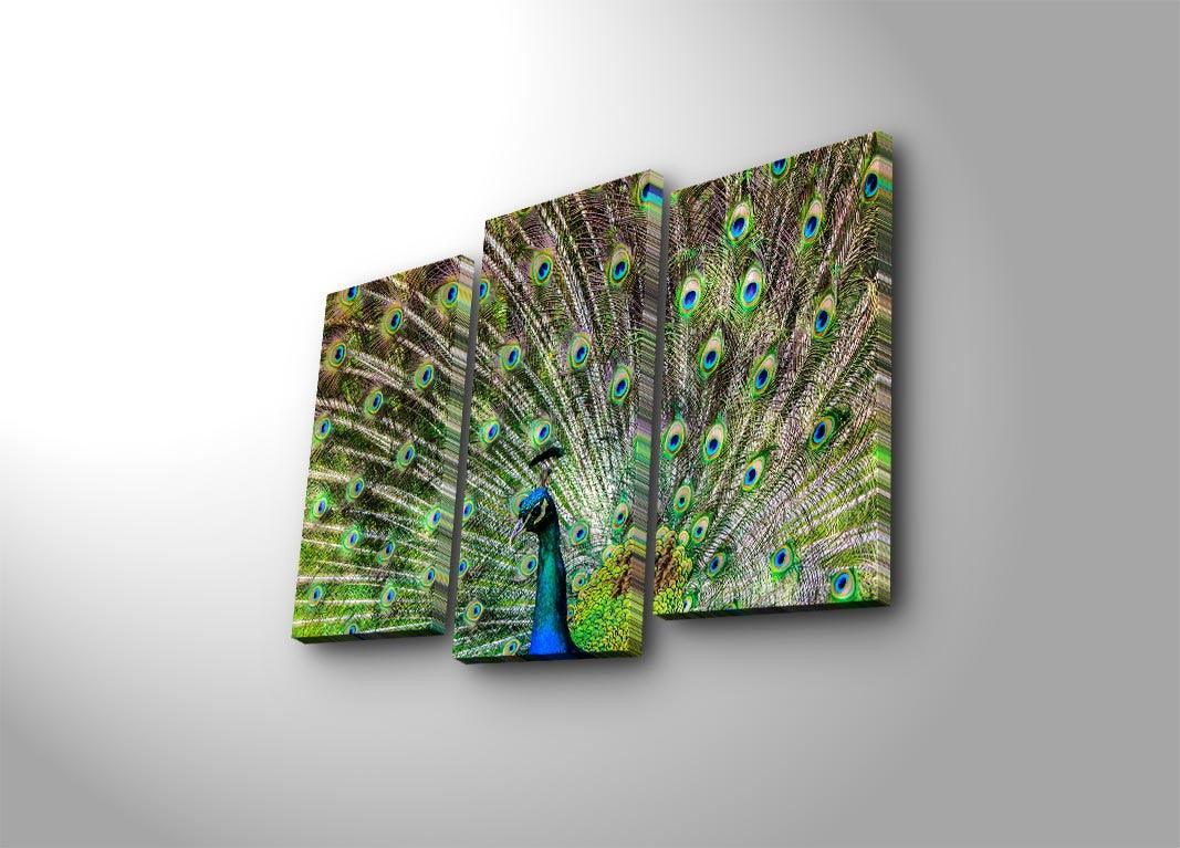 Tablou Canvas cu Led Paun Verde, Multicolor, 66 x 45 cm