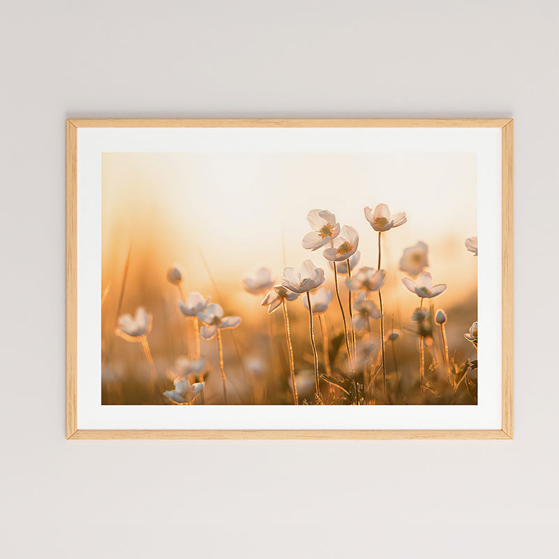 Tablou cu imprimeu digital Floraza, Multicolor, 48x33 cm