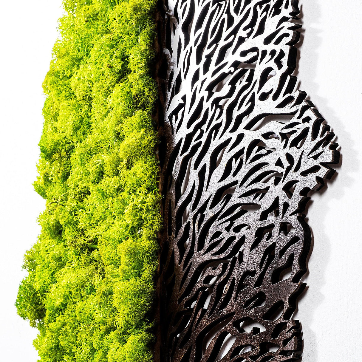 Accesoriu decorativ de perete Green And Dry, Verde, 56x45 cm