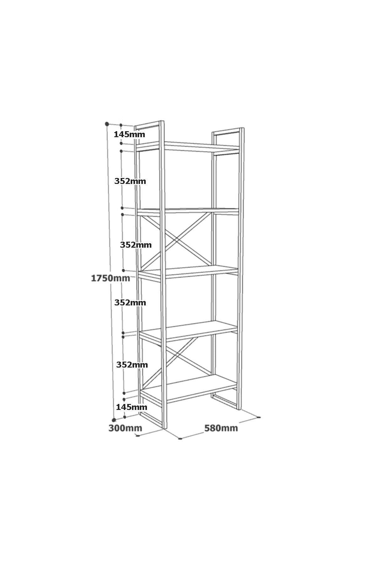 Biblioteca Sineo, Stejar, 58 x 30 x 175 cm