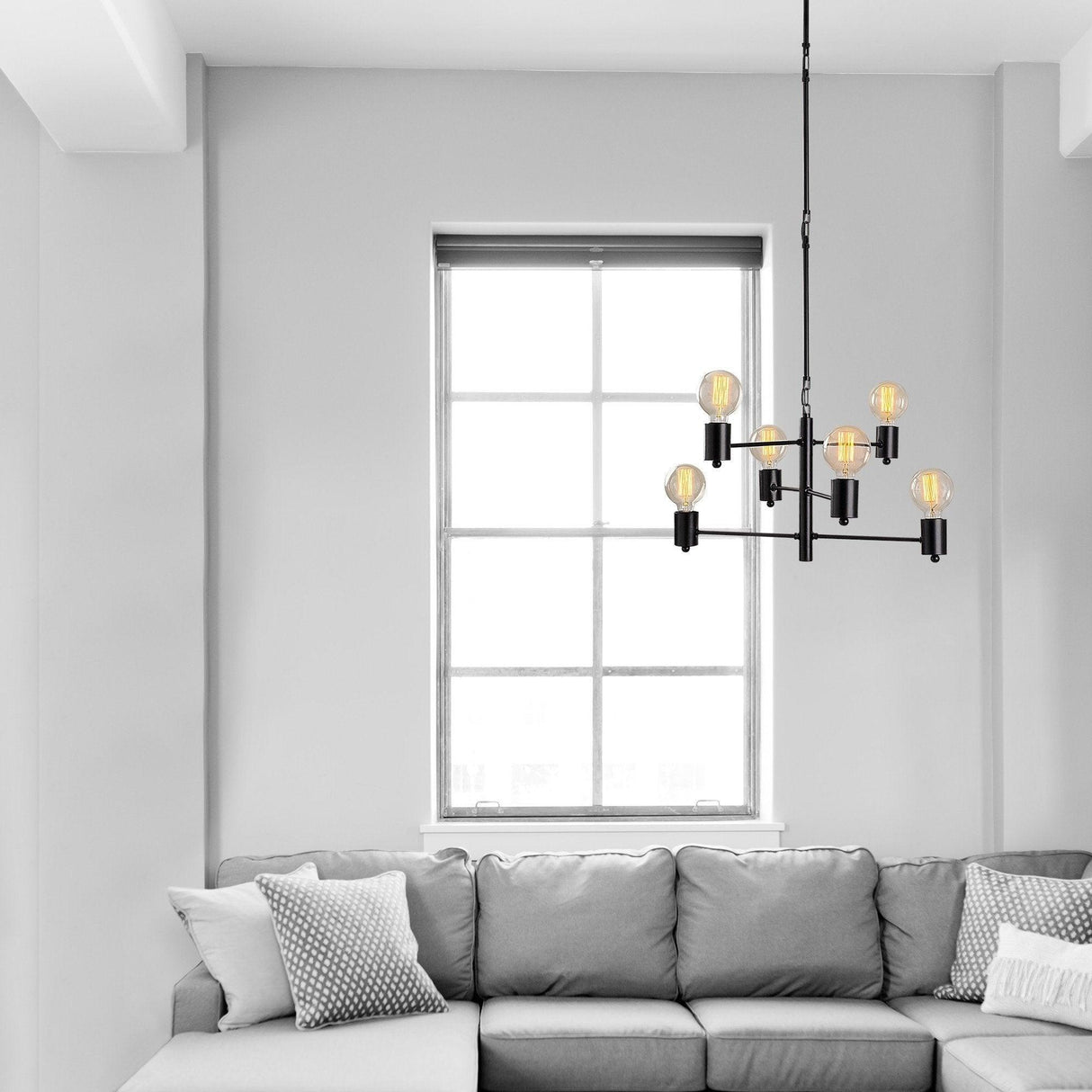 Lustra Alaise, Negru