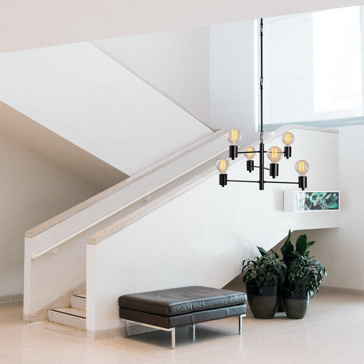 Lustra Alaise, Negru