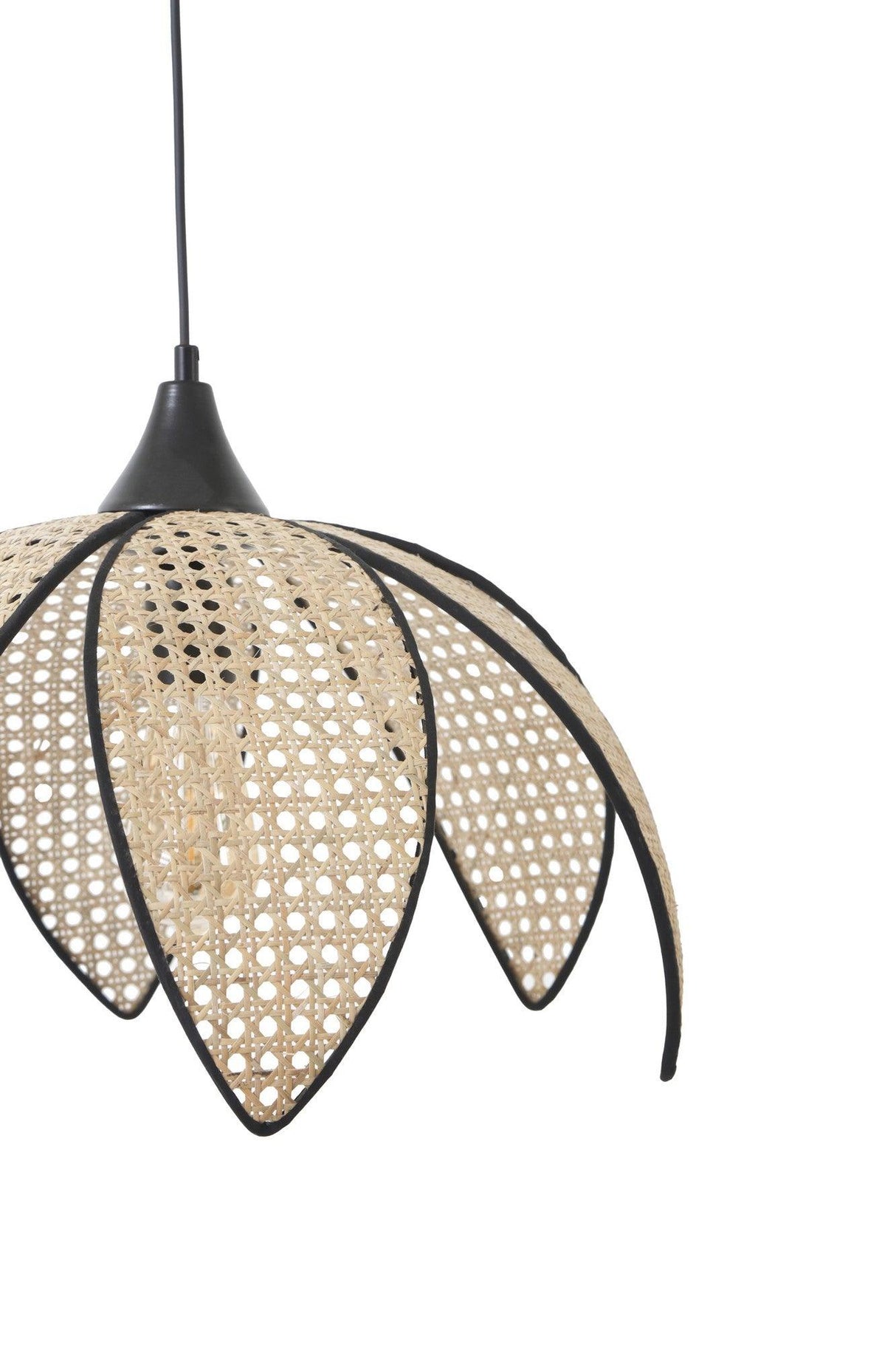 Lustra Boltdesk, Fum