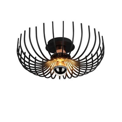 Lustra Litup, Negru