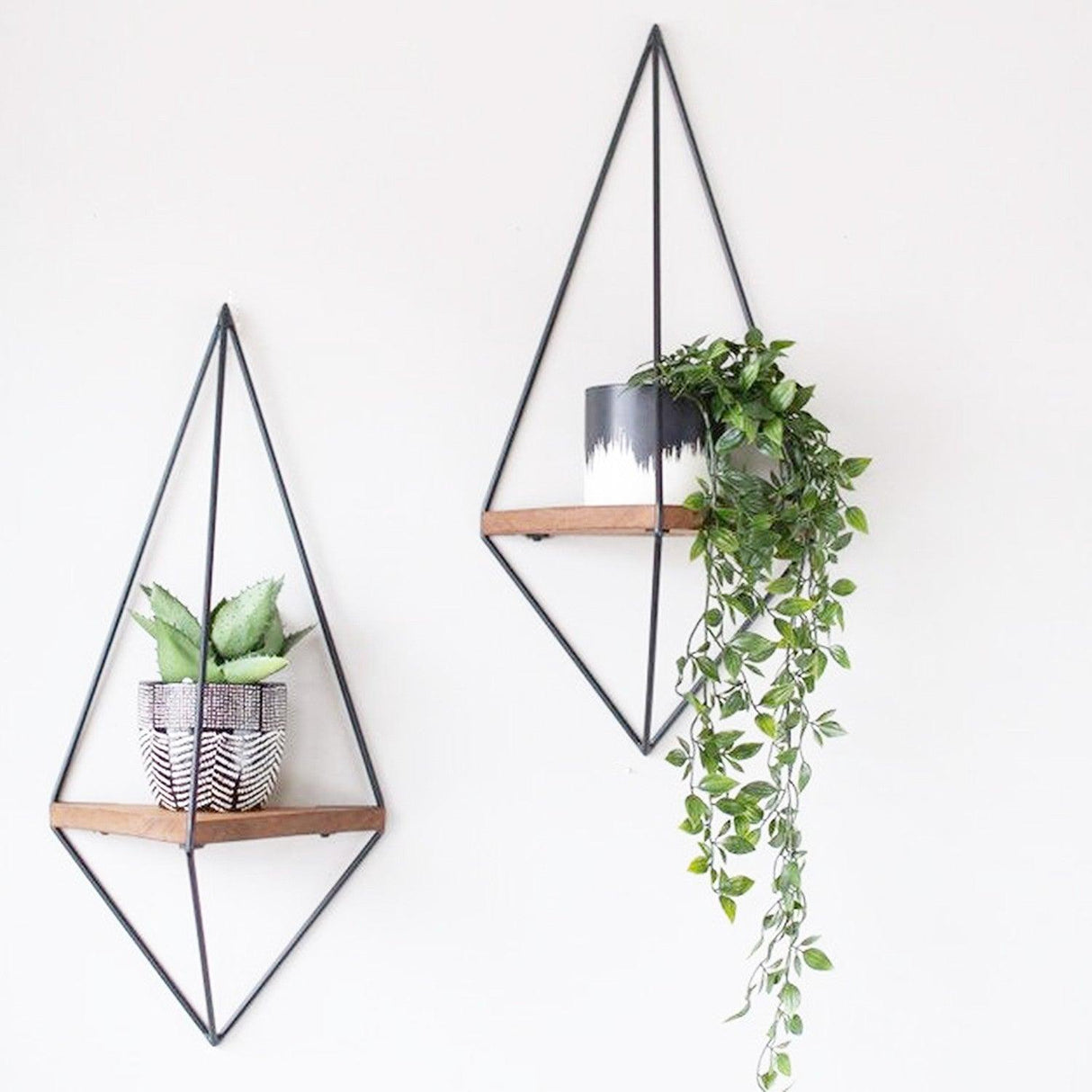 Raft pentru Colt Asim, Nuc, 60 x 23 x 15 cm