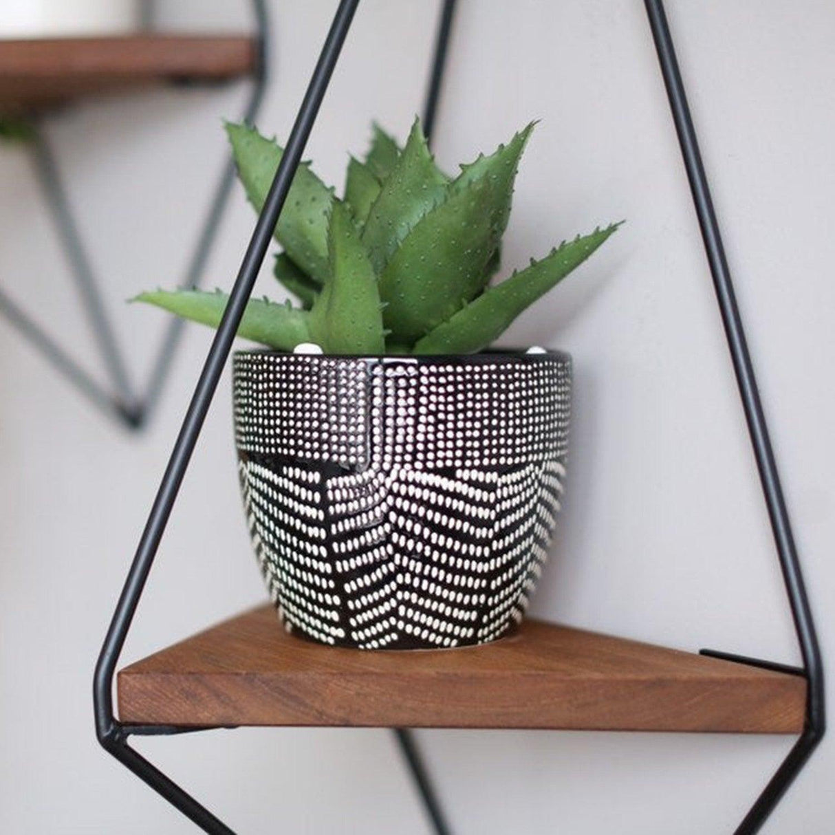 Raft pentru Colt Asim, Nuc, 60 x 23 x 15 cm