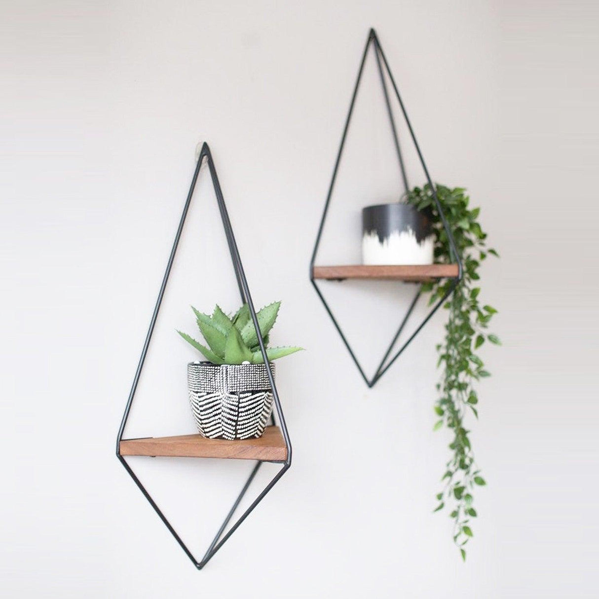 Raft pentru Colt Asim, Nuc, 60 x 23 x 15 cm