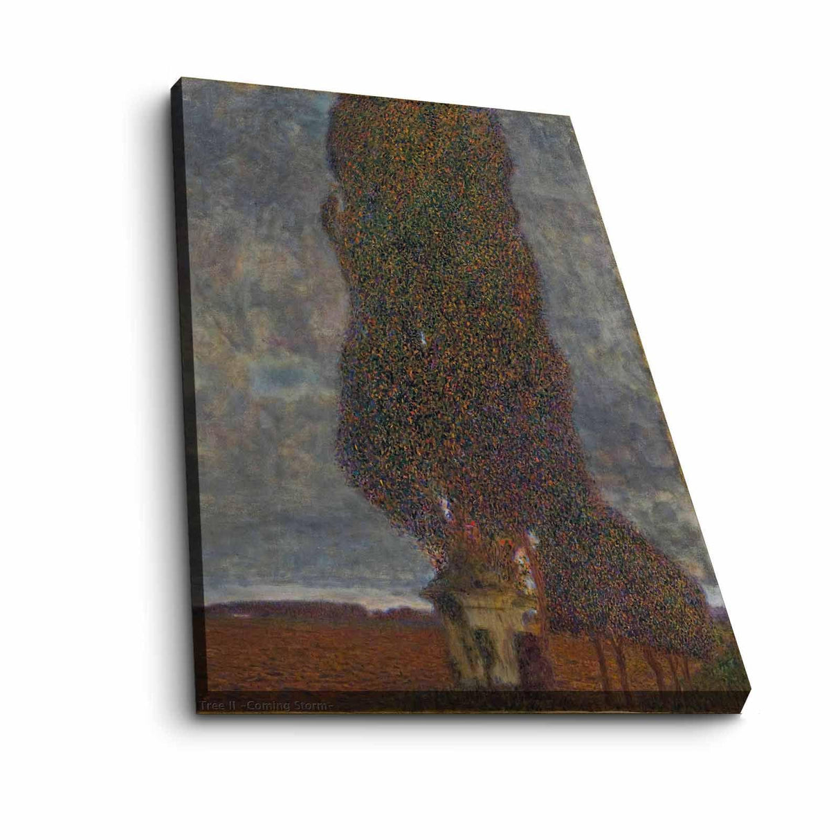 Tablou Canvas 4570KLIMT002, Multicolor, 70x45 cm