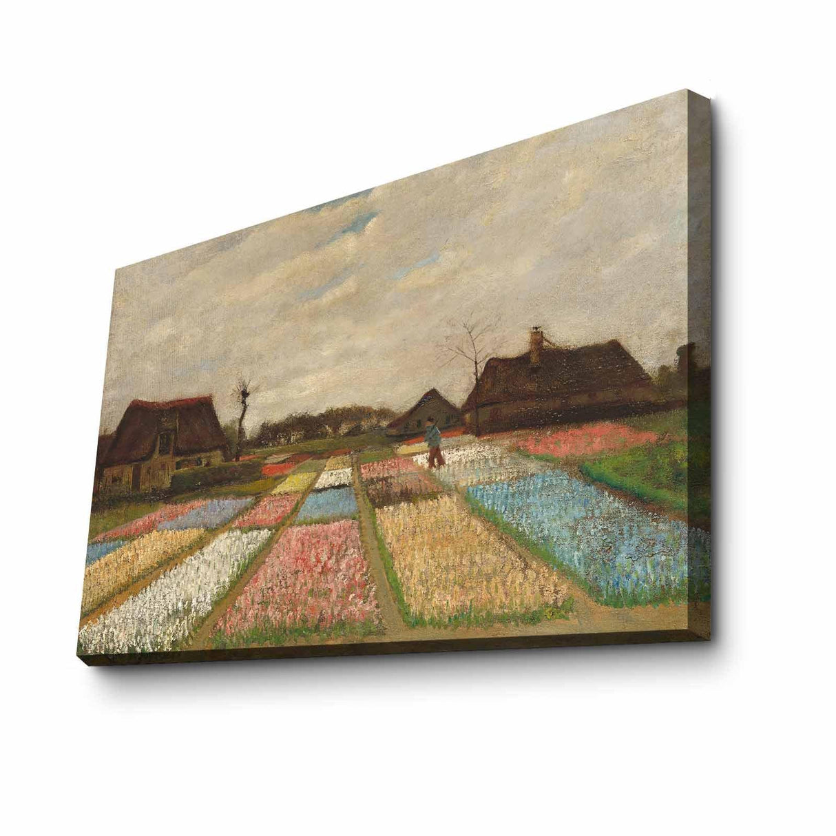 Tablou Canvas Gradina Lalele, Multicolor, 70 x 45 cm