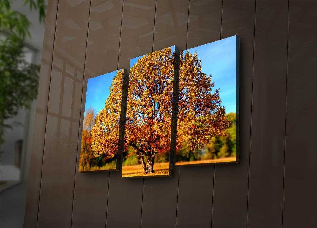 Tablou Canvas cu Led 3PATİACT, Multicolor, 66x45 cm