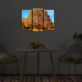 Tablou Canvas cu Led 3PATİACT, Multicolor, 66x45 cm