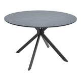 DARK GREY-BLACK LEGS