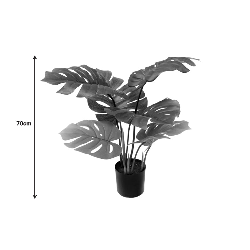 Planta decorativa Monsteraghiveci verde  PP H70 cm