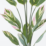 Planta decorativă în ghiveci Aglaonema, verde, plastic, 80x150 cm