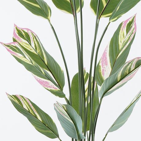 Planta decorativă în ghiveci Aglaonema, verde, plastic, 80x150 cm