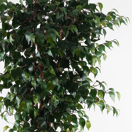 Planta decorativă cu ghiveci Banyan, Verde, Sintetic, 95x180 cm