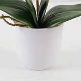 Plantă decorativă în ghiveci, Orhidee Orchid Beauty, Sintetic, 30x13x46 cm