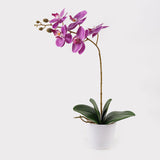 Plantă decorativă în ghiveci, Orhidee Orchid Beauty, Sintetic, 30x13x46 cm