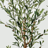 Plantă decorativă în ghiveci, Olia, Verde, 65x55x180 cm, Plastic