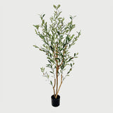 Plantă decorativă în ghiveci, Olia, Verde, 65x55x180 cm, Plastic