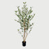 Planta Artificiala Plantă decorativă în ghiveci, Olia, Verde, 65x55x180 cm, Plastic