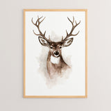 WHITE - BLACK - NATURAL