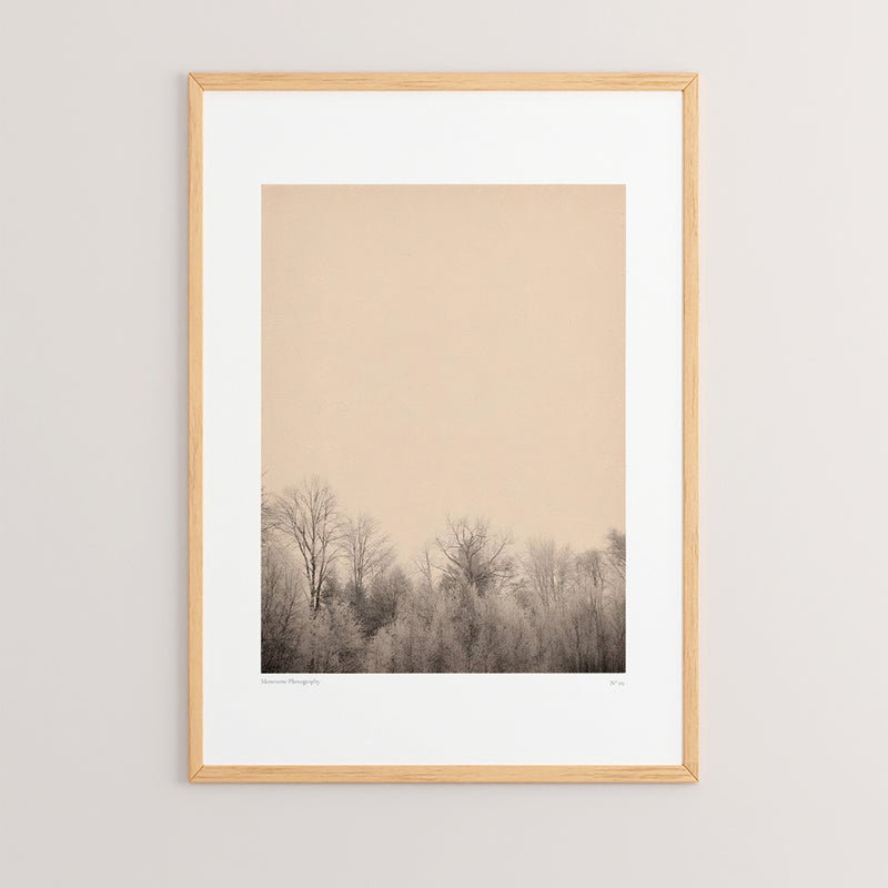 Tablou Quany, 33x48 cm